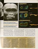 D'ou venons-nous, Science & Vie 1113, 2010-06 (08)